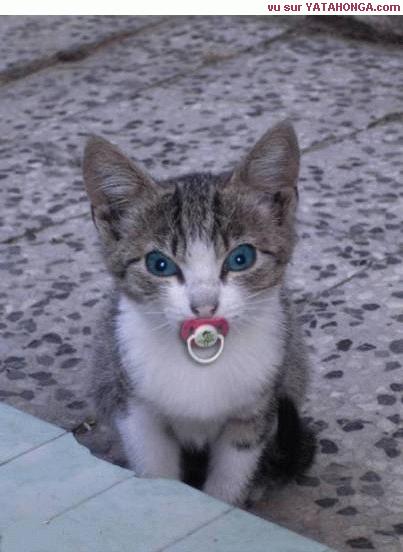 la ptite voleuse